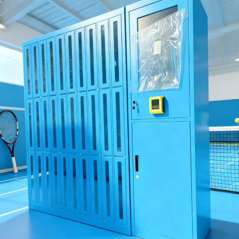 Custom High-quality Club Gym S - Sports Equipment Locker incelemesi ve fiyatı